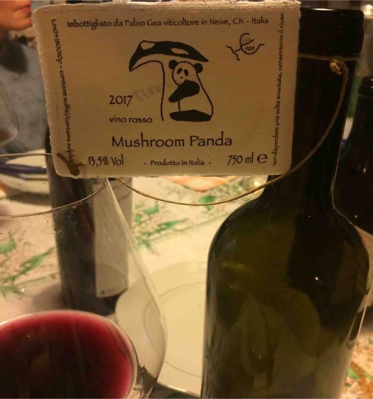 Mushroom Panda - Azienda Agricola Fabio Gea - Fabio Gea 