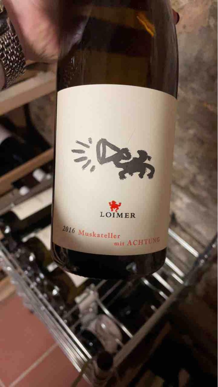 Muskateller Mit Achtung - Weingut Fred Loimer - Fred Loimer 