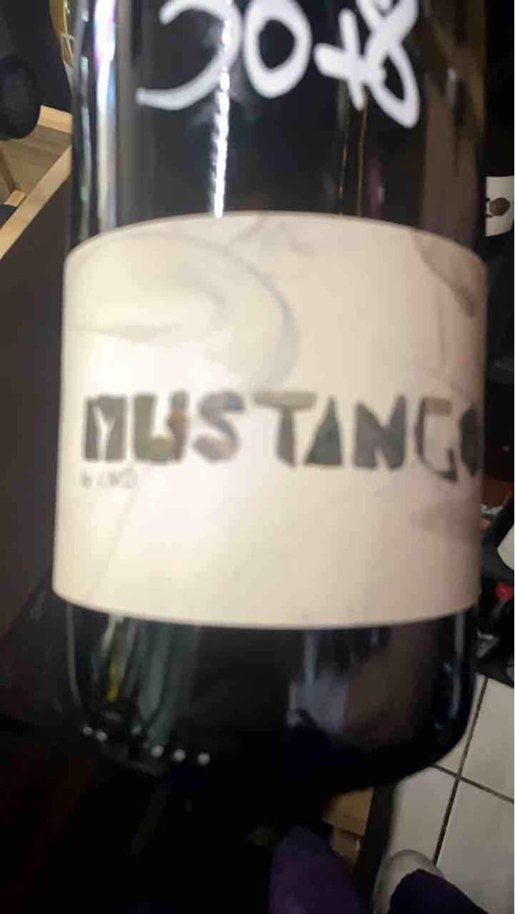 Mustango - La Nouvelle Don(n)e - Wilfried Valat 