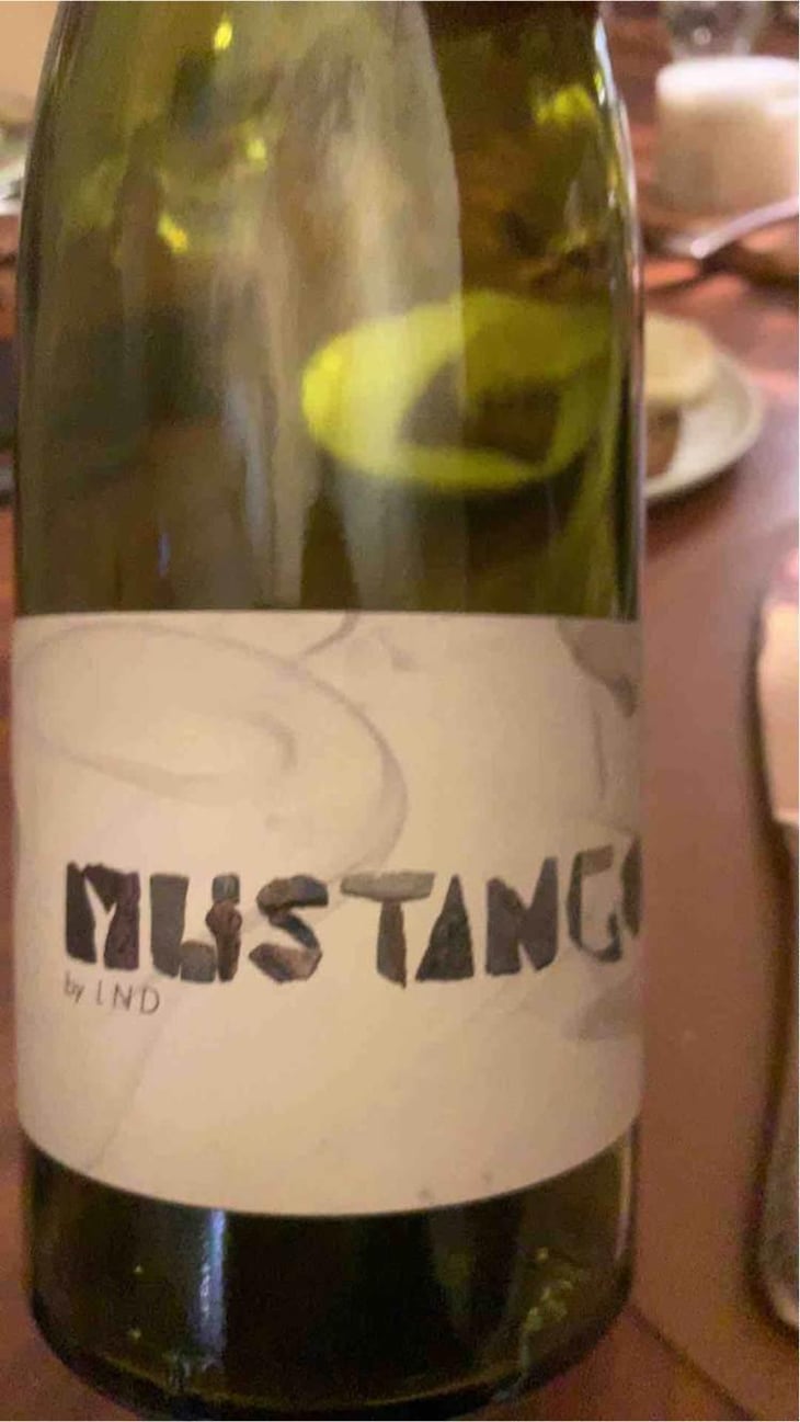 Mustango - La Nouvelle Don(n)e - Wilfried Valat 