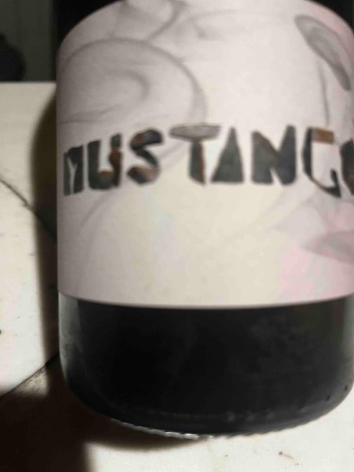 Mustango - La Nouvelle Don(n)e - Wilfried Valat 