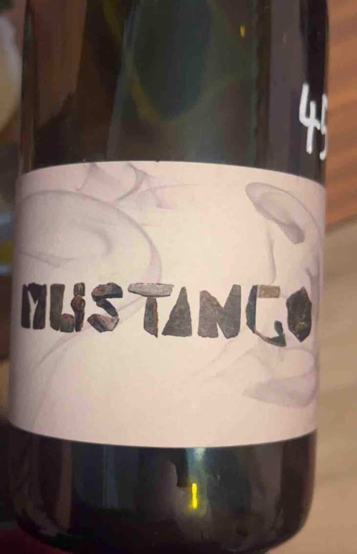 Mustango - La Nouvelle Don(n)e - Wilfried Valat 
