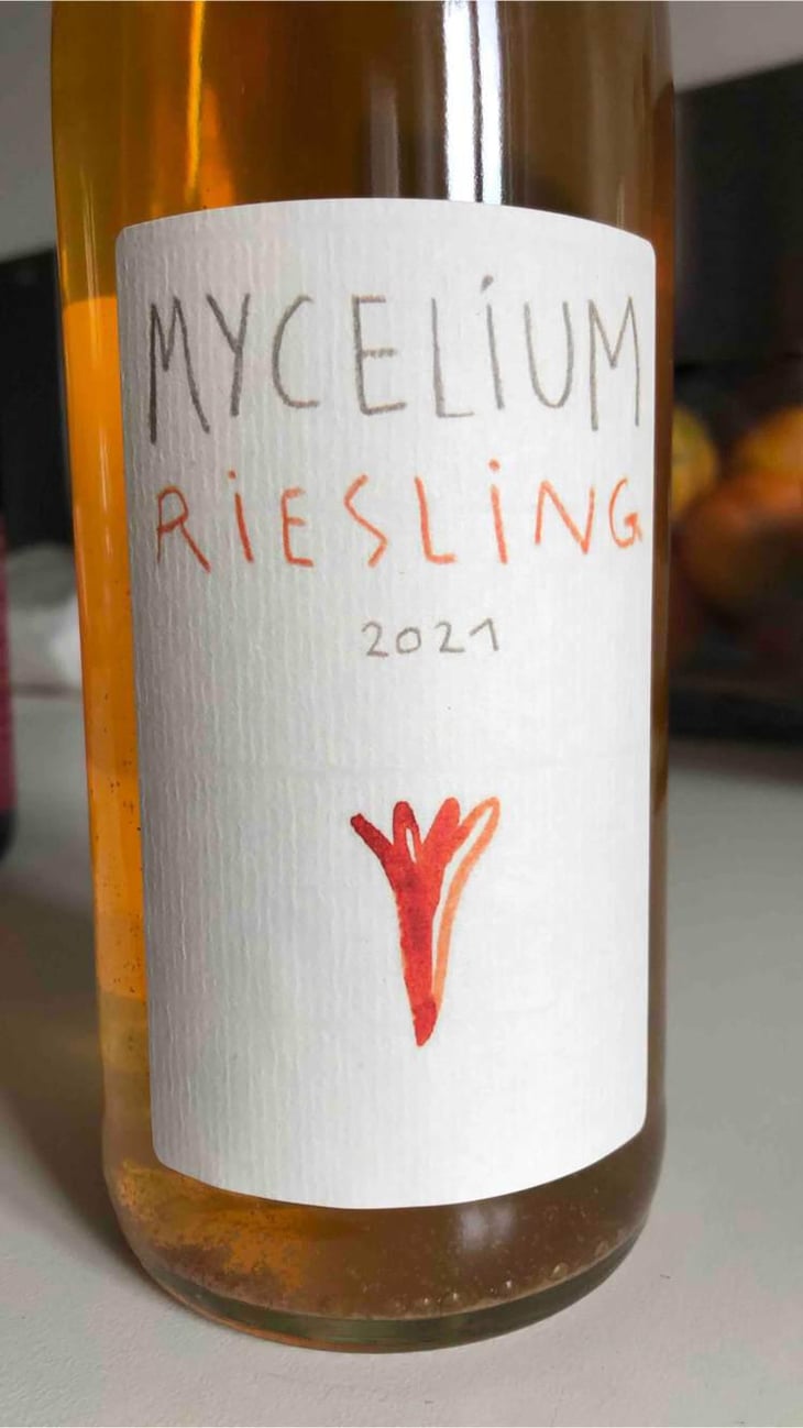 Mycelium - Mycélium - Arthur Joskin & Gentiane Angeli -2021