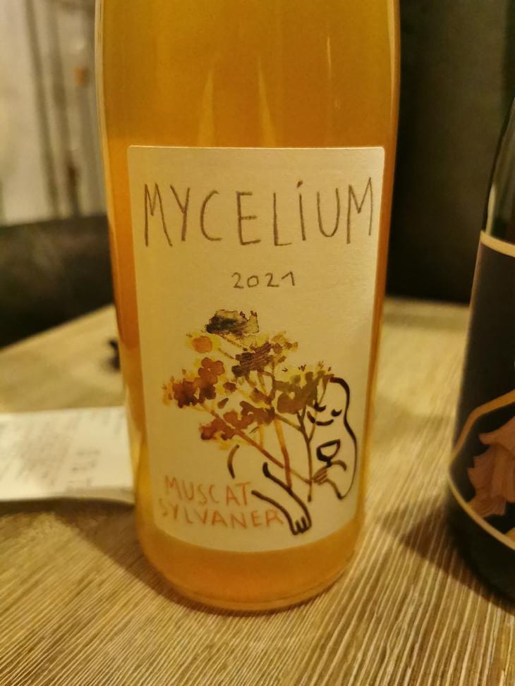 Mycelium - Mycélium - Arthur Joskin & Gentiane Angeli -2021
