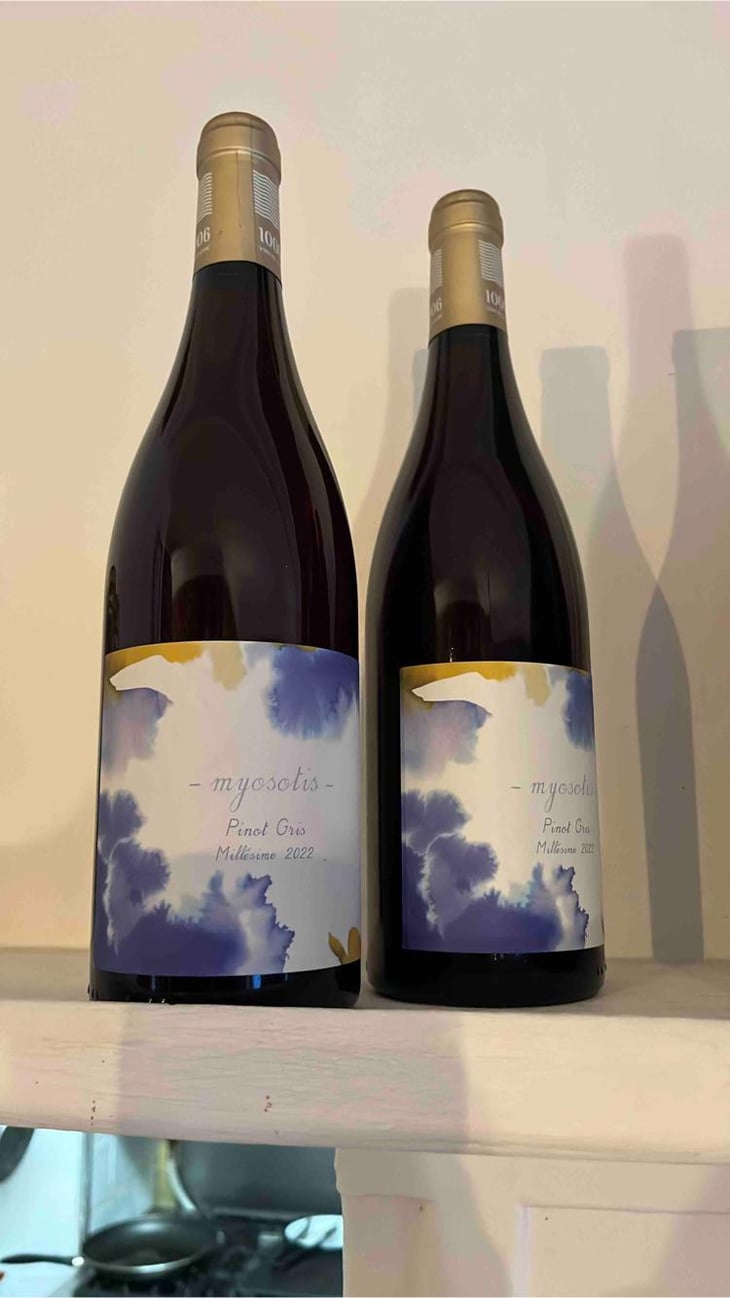 Myosotis - 1006 Vins de Loire - Pauline Lair 