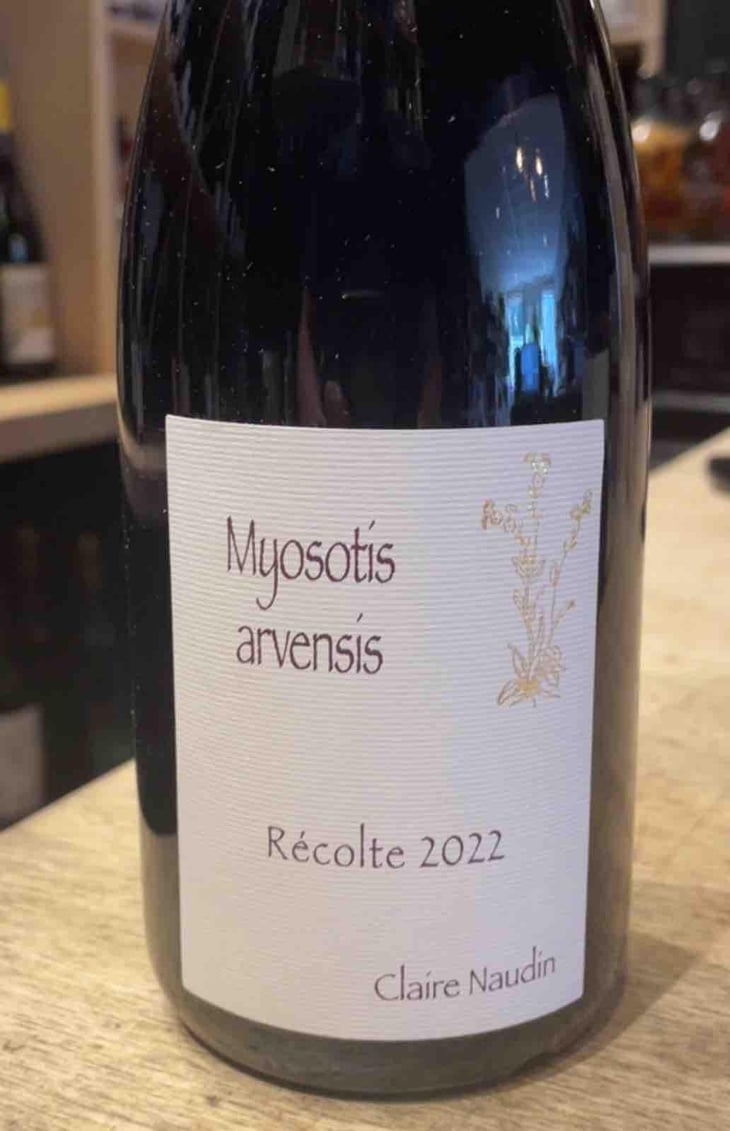 Myosotis Arvensis - Domaine Henri Naudin-Ferrand - Claire Naudin 