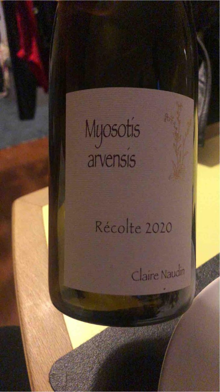 Myosotis Arvensis - Domaine Henri Naudin-Ferrand - Claire Naudin 
