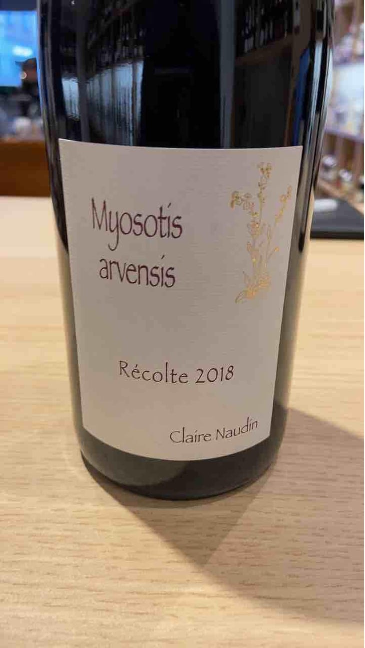 Myosotis Arvensis - Domaine Henri Naudin-Ferrand - Claire Naudin 