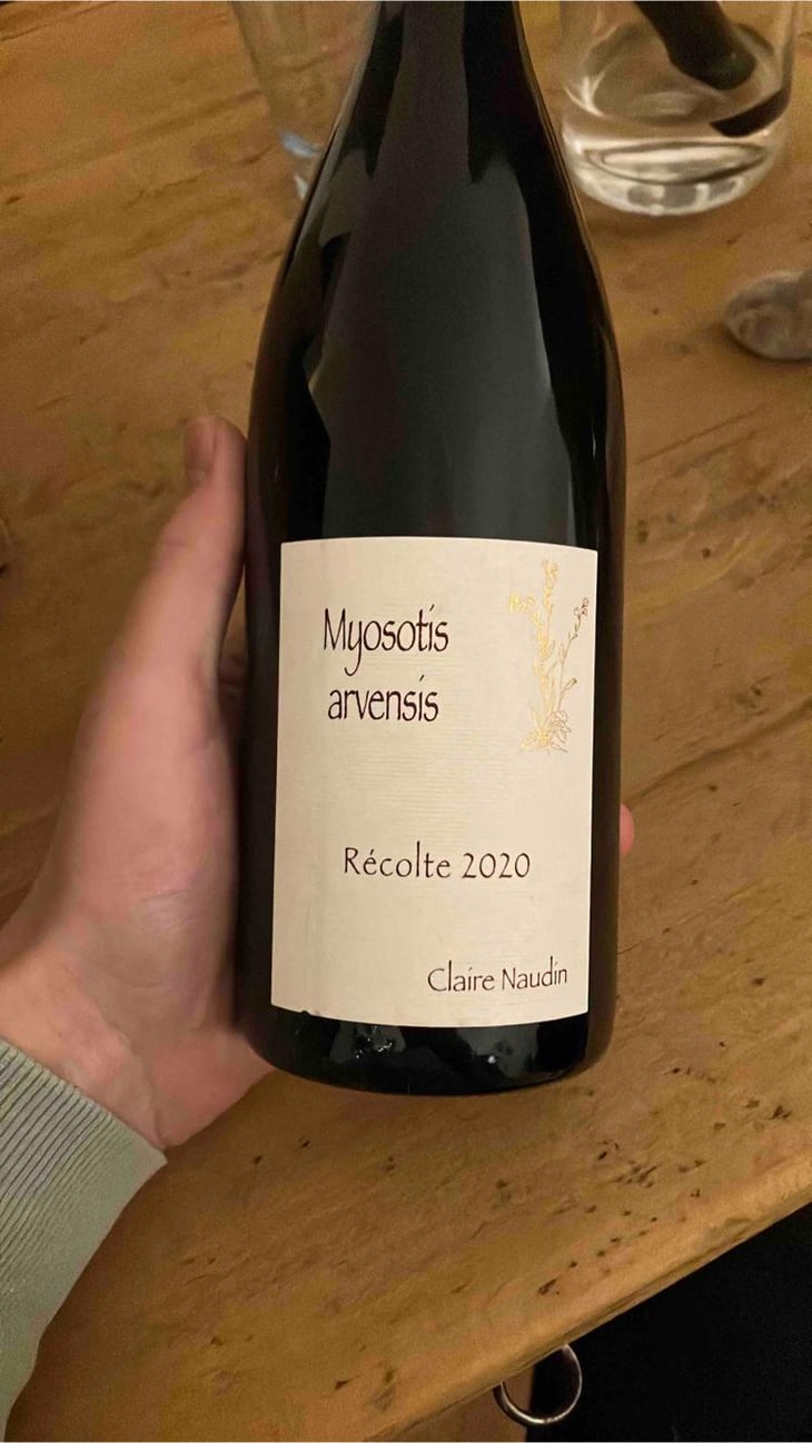 Myosotis Arvensis - Domaine Henri Naudin-Ferrand - Claire Naudin 