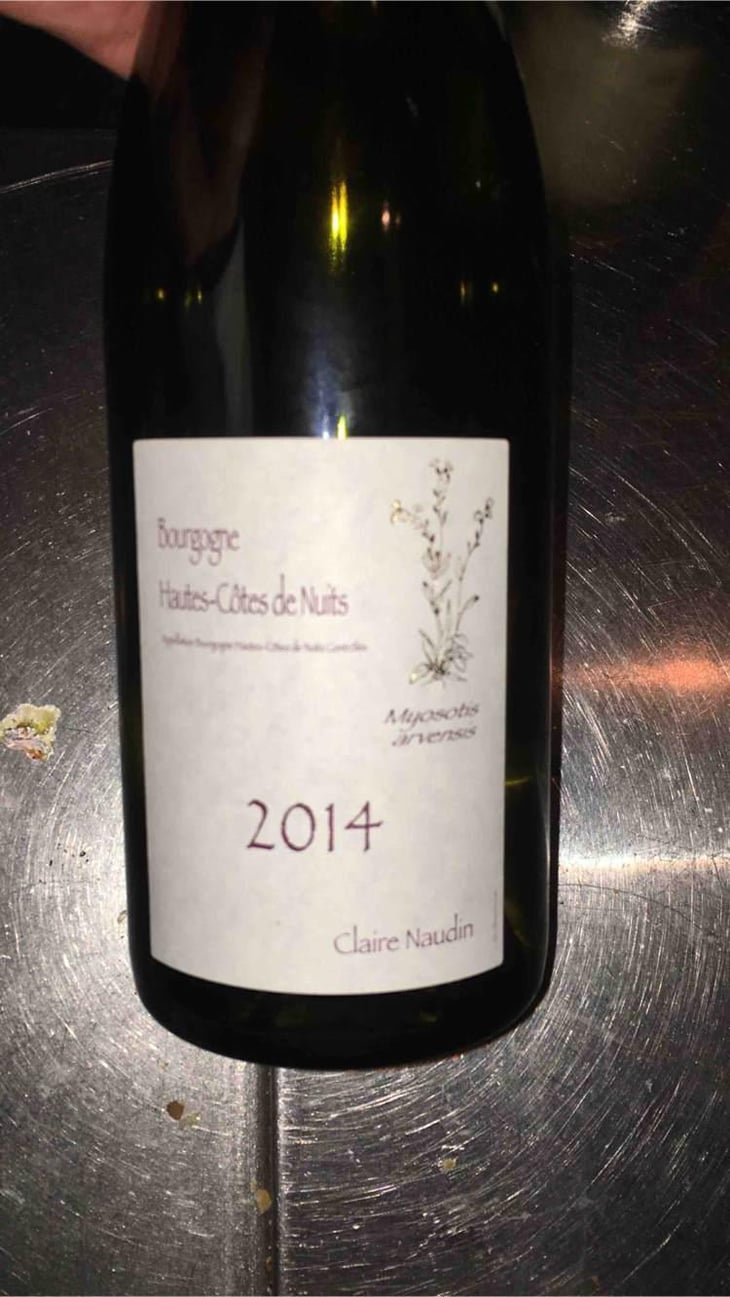 Myosotis Arvensis - Domaine Henri Naudin-Ferrand - Claire Naudin 