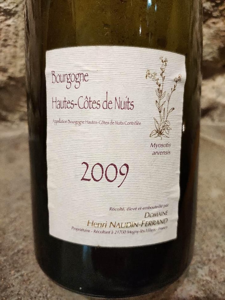 Myosotis Arvensis - Domaine Henri Naudin-Ferrand - Claire Naudin 