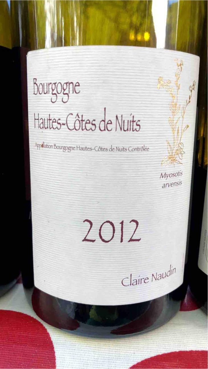 Myosotis Arvensis - Domaine Henri Naudin-Ferrand - Claire Naudin 