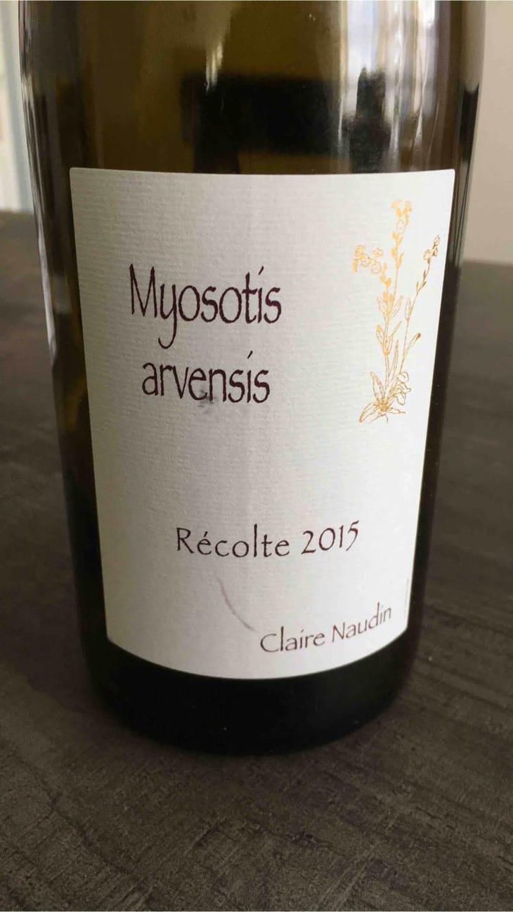 Myosotis Arvensis - Domaine Henri Naudin-Ferrand - Claire Naudin 