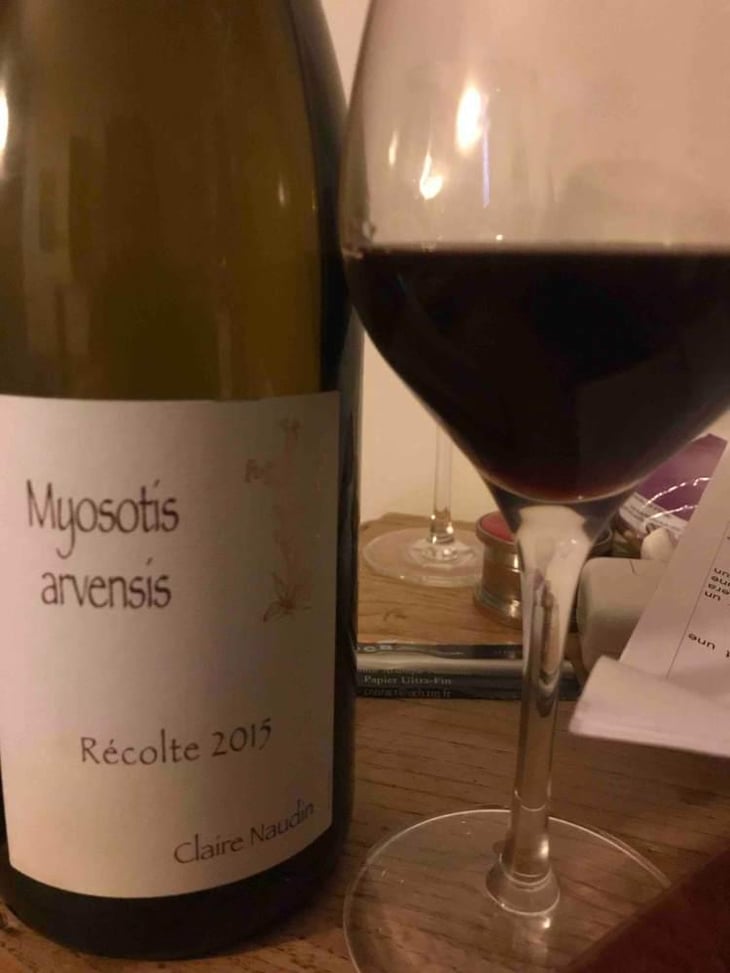 Myosotis Arvensis - Domaine Henri Naudin-Ferrand - Claire Naudin 