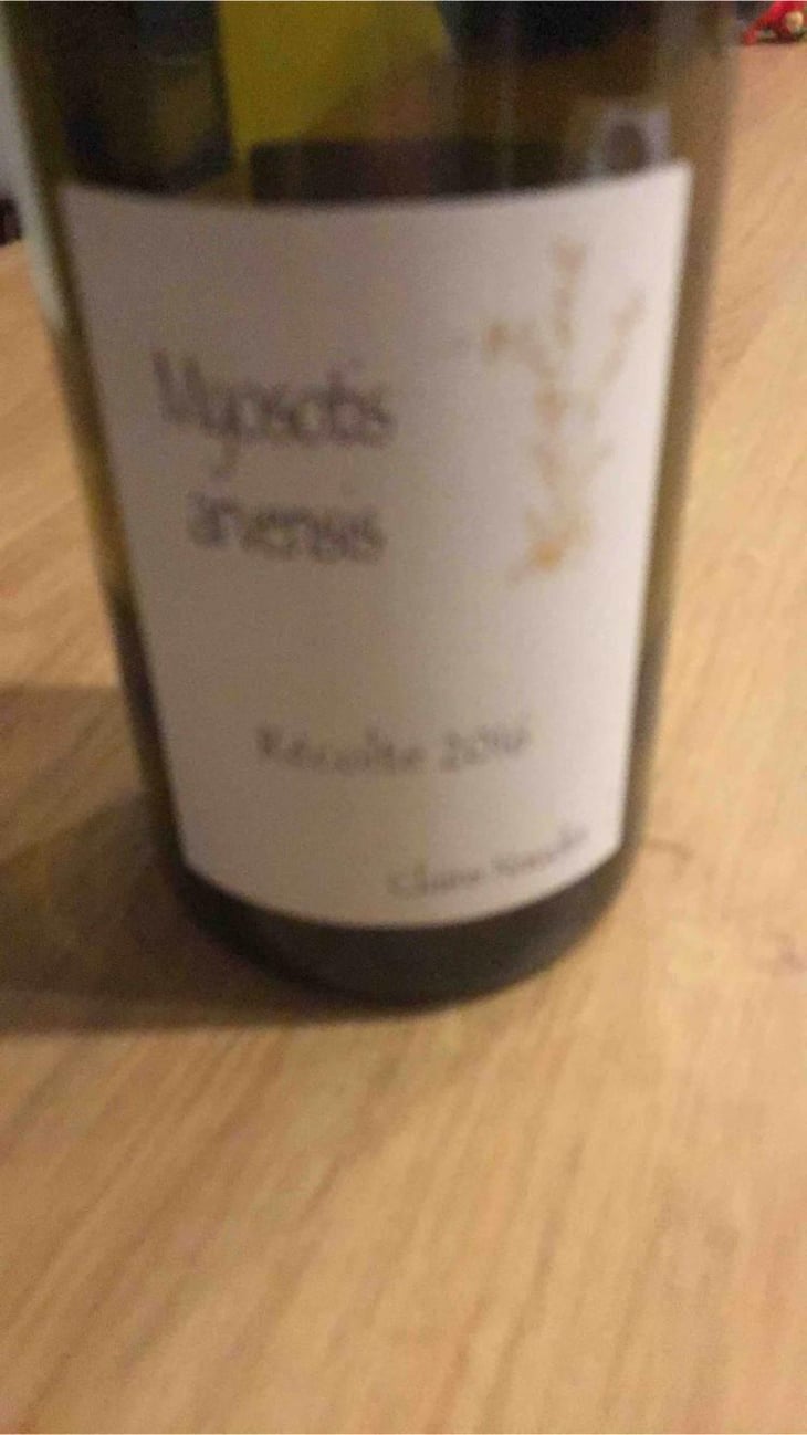 Myosotis Arvensis - Domaine Henri Naudin-Ferrand - Claire Naudin 