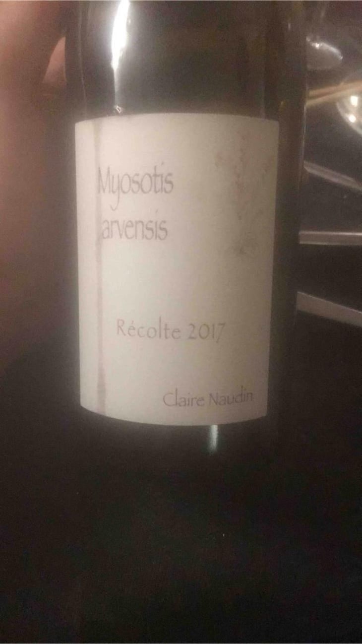 Myosotis Arvensis - Domaine Henri Naudin-Ferrand - Claire Naudin 