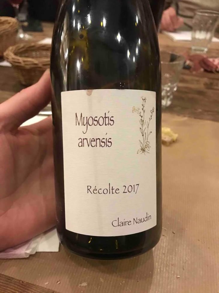 Myosotis Arvensis - Domaine Henri Naudin-Ferrand - Claire Naudin 