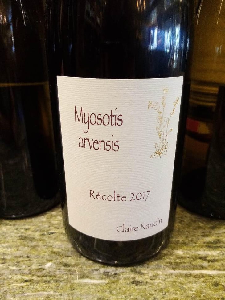 Myosotis Arvensis - Domaine Henri Naudin-Ferrand - Claire Naudin 