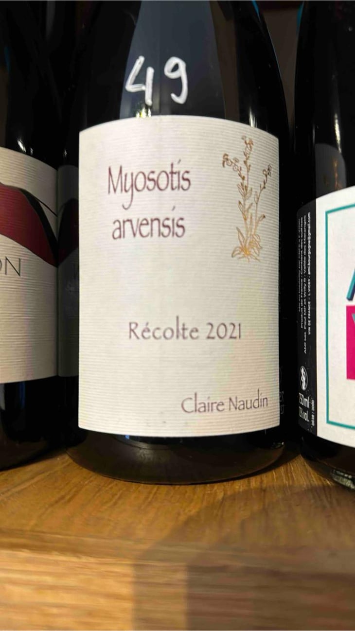 Myosotis Arvensis - Domaine Henri Naudin-Ferrand - Claire Naudin 