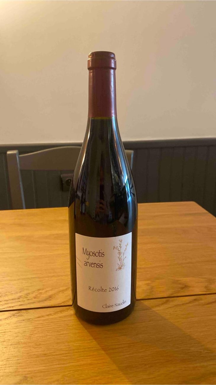 Myosotis Arvensis - Domaine Henri Naudin-Ferrand - Claire Naudin 