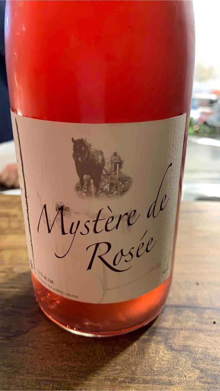 Mystère De Rosée - Michel Guignier - Michel Guignier 
