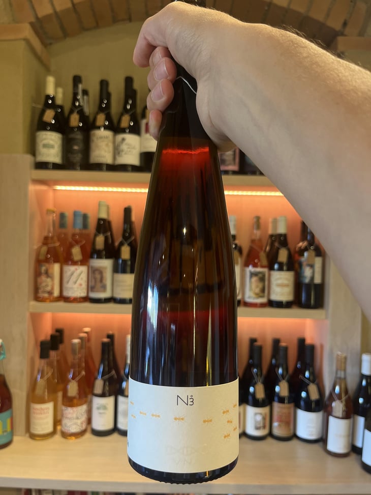 N.3 - VNA - Fiori Uberto, Alessandro e Federico -2017