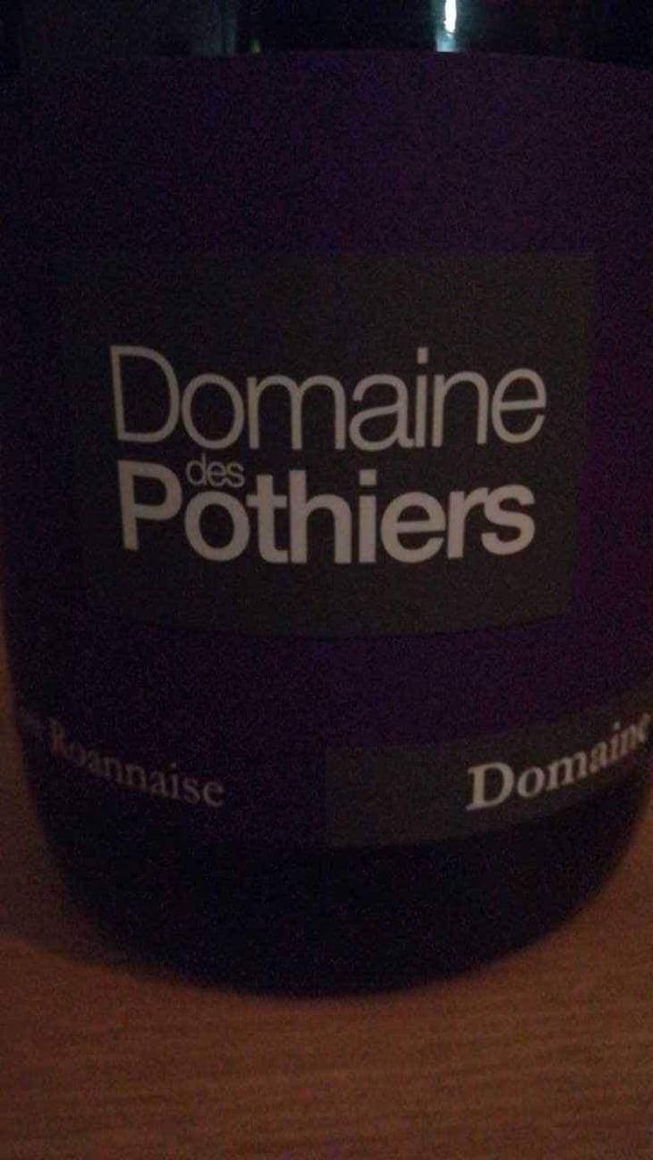 N°6 - Domaine des Pothiers - Denise, Georges & Romain Paire 