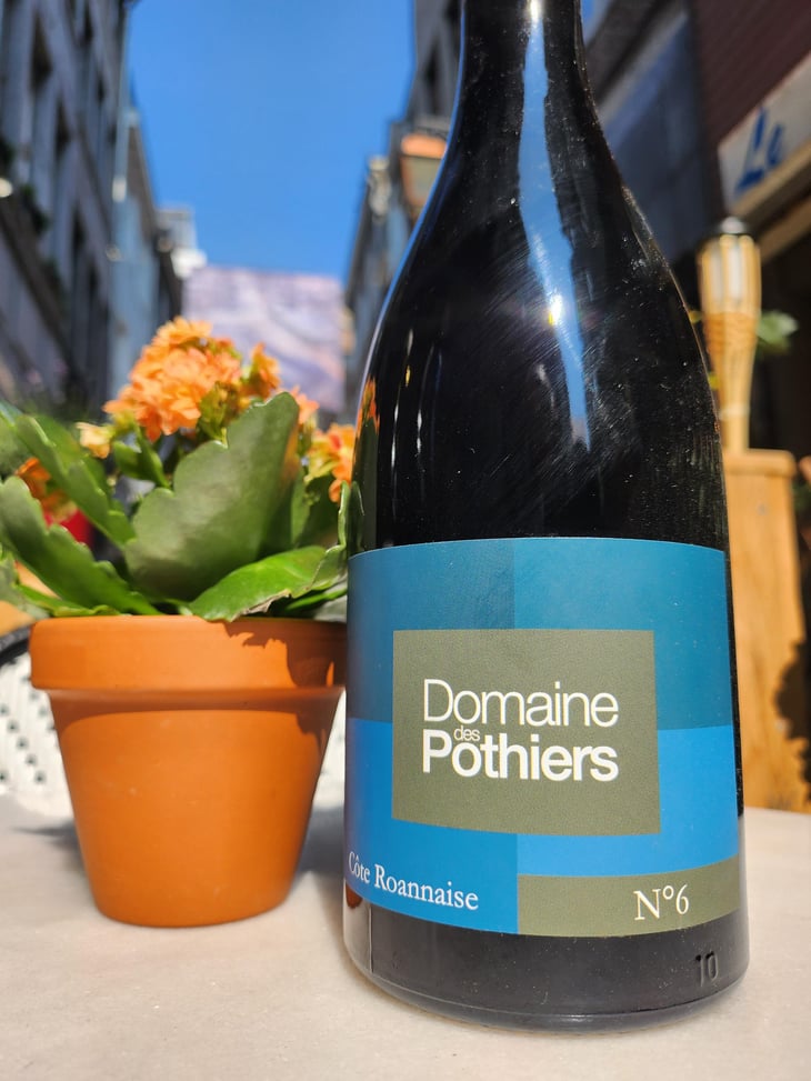 N°6 - Domaine des Pothiers - Denise, Georges & Romain Paire 
