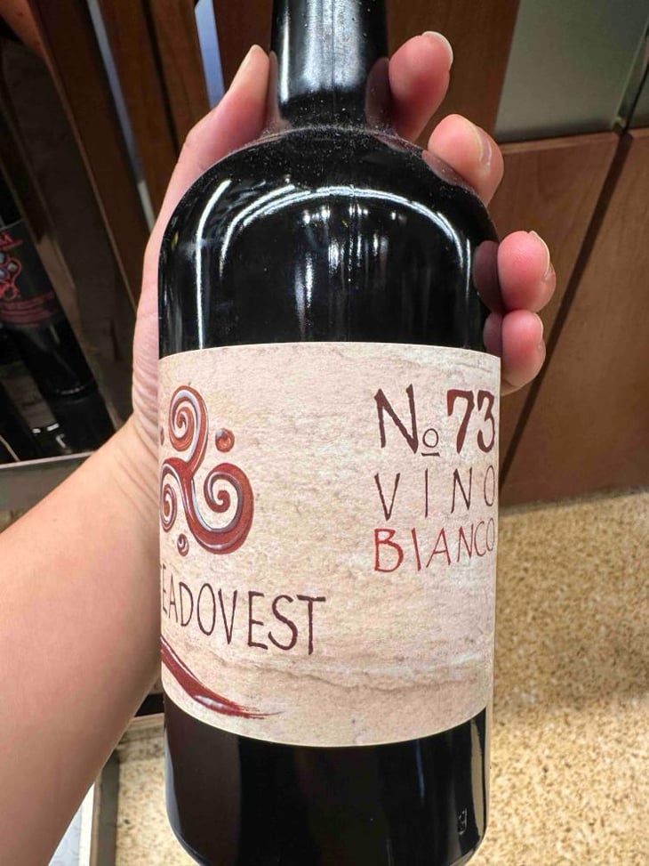 N°73 - Viteadovest - Vincenzo Angileri 