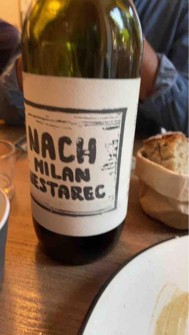 Nach - Milan Nestarec - Milan Nestarec 