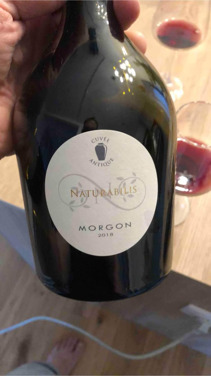 Naturabilis Cuvée Antique - Colonat-St Joseph - Colonat 