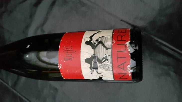 Pinot Noir Nature - Lucas & André Rieffel - Lucas Rieffel 
