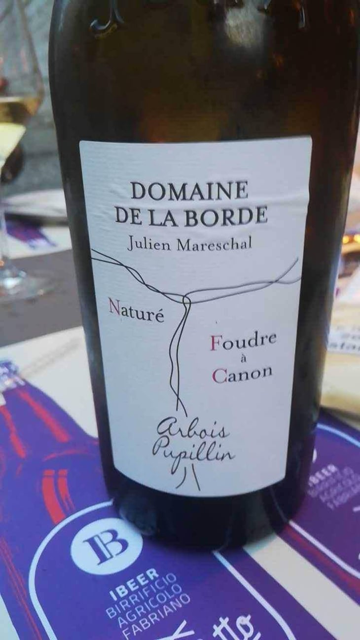 Naturé Foudre à Canon - Domaine de la Borde - Julien Mareschal 