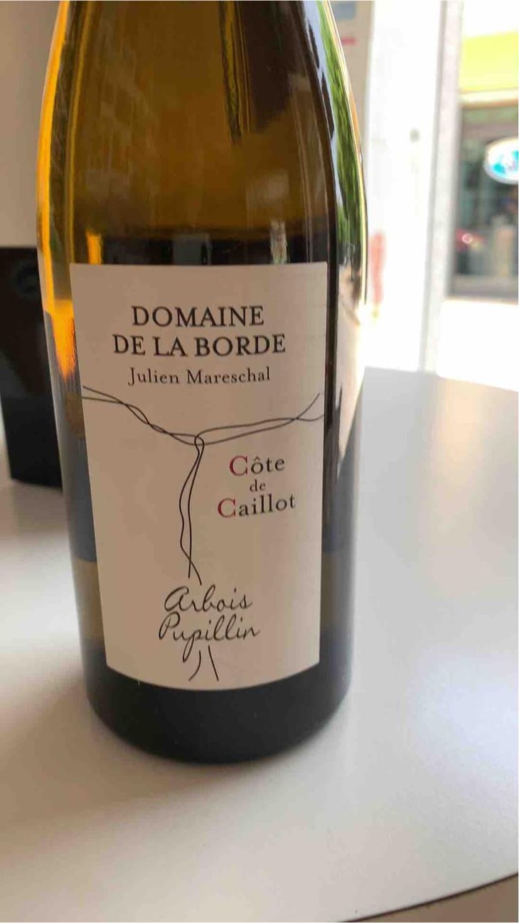 Côte de Caillot - Domaine de la Borde - Julien Mareschal 