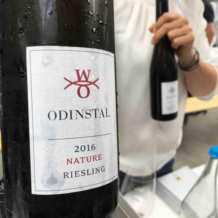 Nature - Weingut Odinstal - Thomas Hensel & Andreas Schumann 