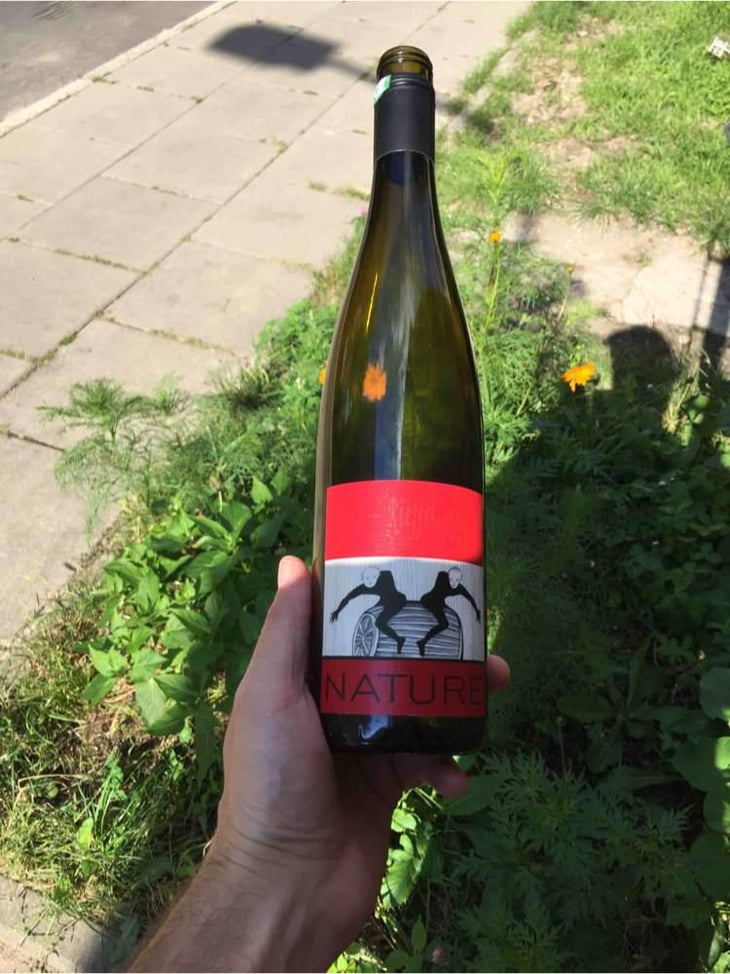 Pinot Noir Nature - Lucas & André Rieffel - Lucas Rieffel 