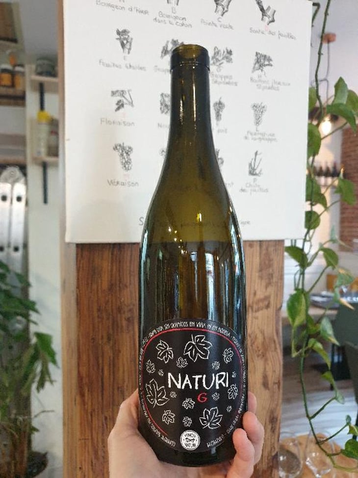 Naturi G - Vinos Naturi - Raúl Calle y Laura Piñas 