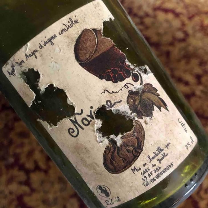 Navine - Domaine des Griottes - Patrick Desplats 