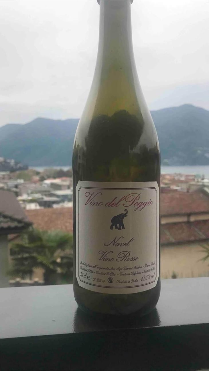 Navel - Vino del Poggio - Andrea Cervini 