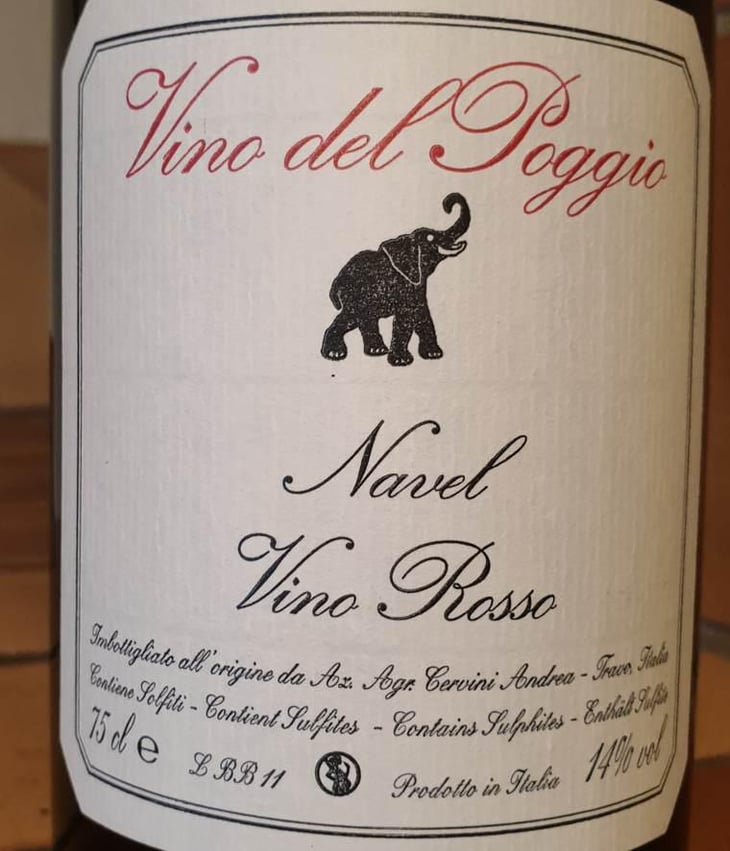 Navel - Vino del Poggio - Andrea Cervini 