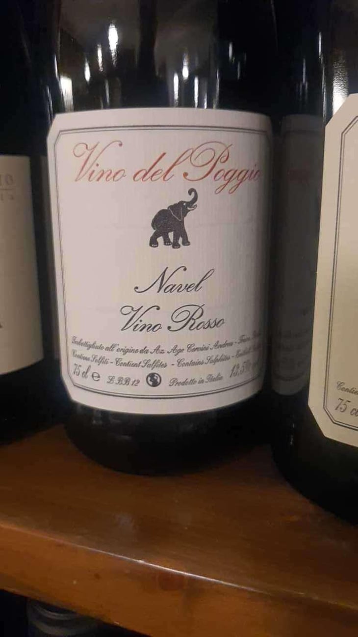 Navel - Vino del Poggio - Andrea Cervini 
