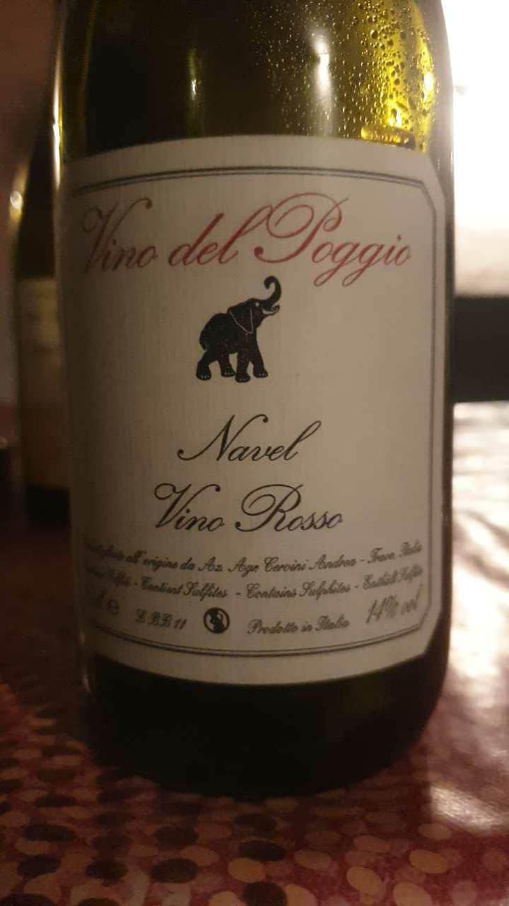 Navel - Vino del Poggio - Andrea Cervini 