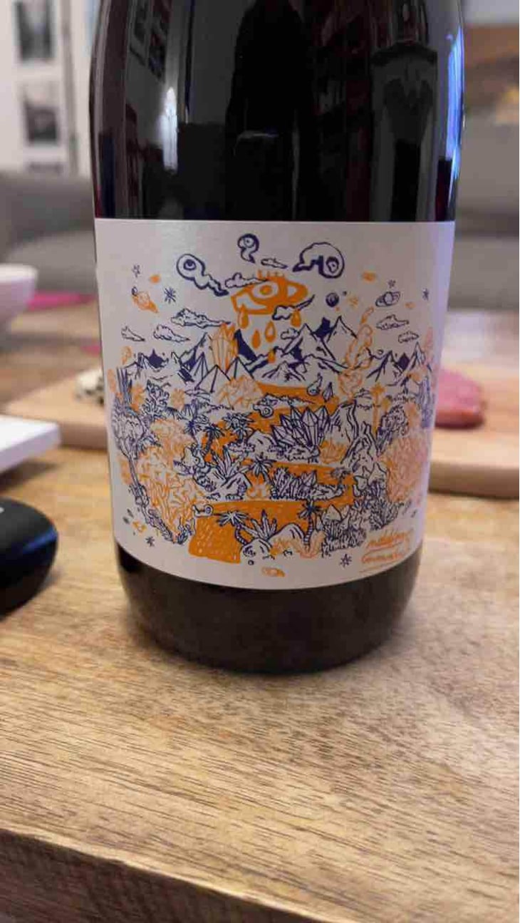 NDD Nectar Des Dieux Pinot Noir - Mas del Périé - Fabien Jouves 