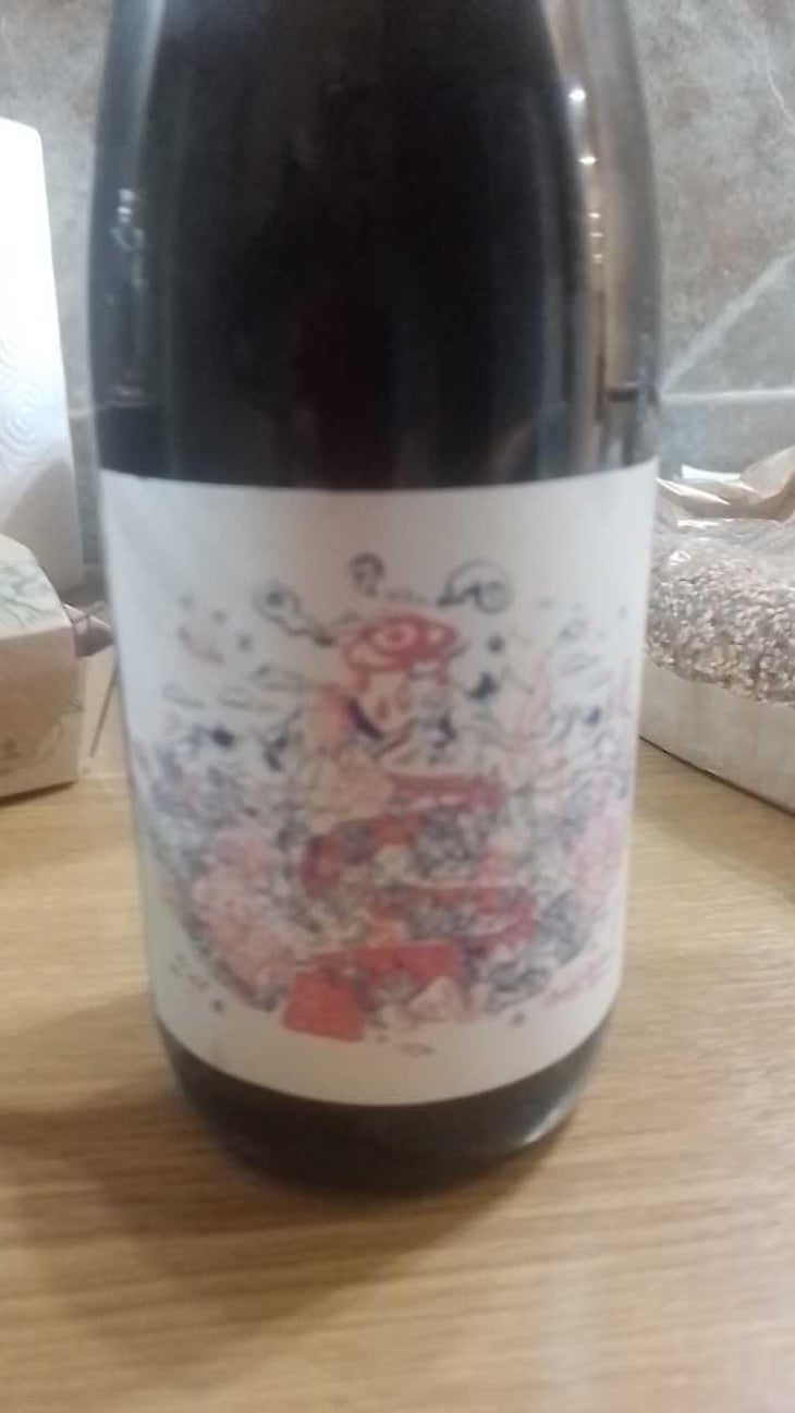 NDD Nectar Des Dieux Pinot Noir - Mas del Périé - Fabien Jouves 