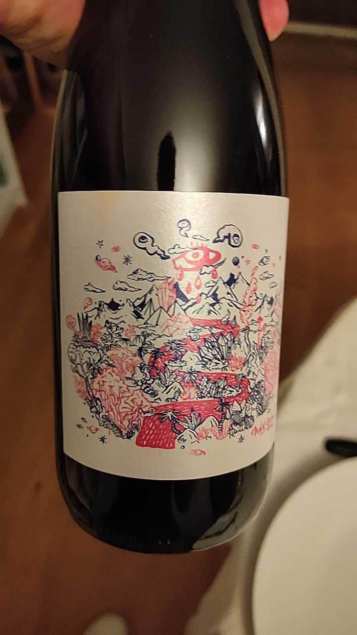 NDD Nectar Des Dieux Pinot Noir - Mas del Périé - Fabien Jouves 