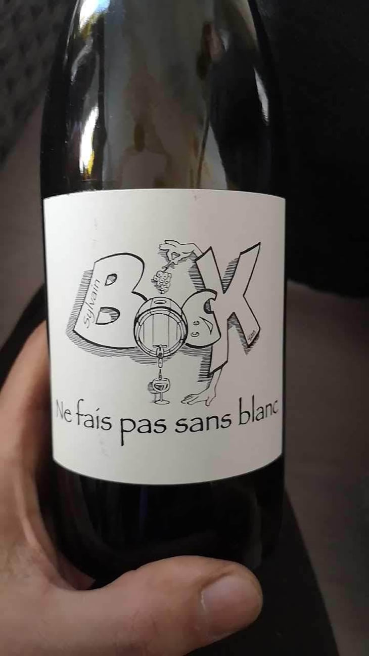 Ne fais pas sans blanc - Sylvain Bock - Sylvain Bock 