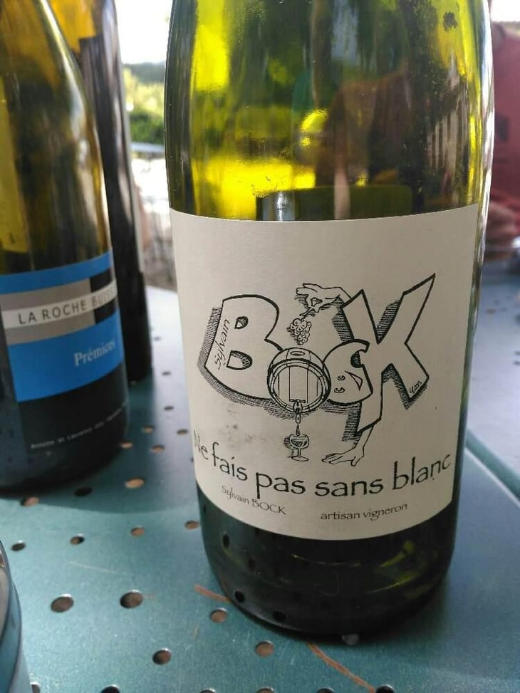 Ne fais pas sans blanc - Sylvain Bock - Sylvain Bock 