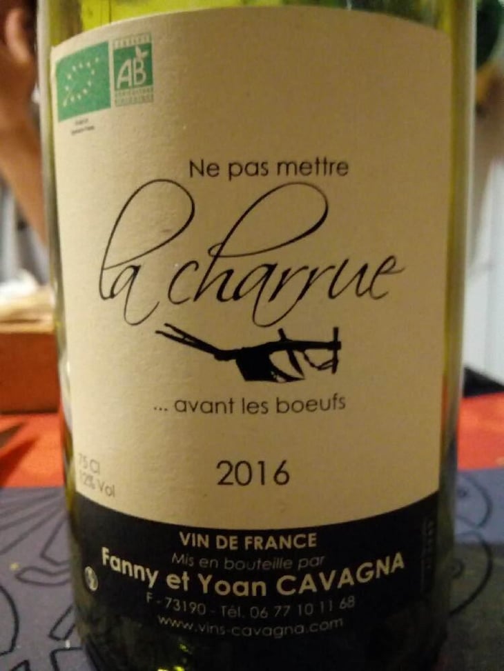 Ne Pas Mettre La Charrue Avant Les Bœufs - Cavagna - Fanny et Yoan Cavagna 