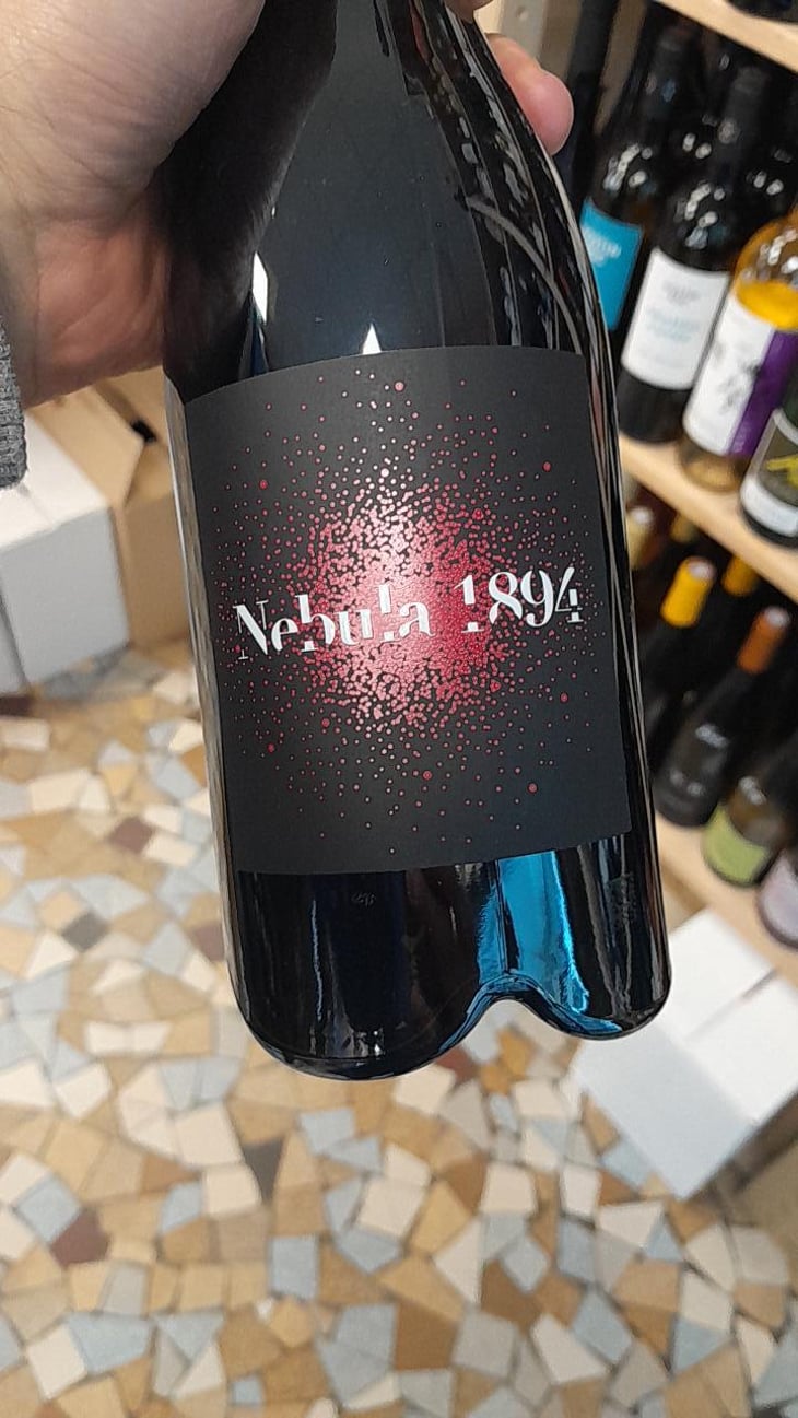 Nebula 1894 - L’affut - Isabelle Pangault 