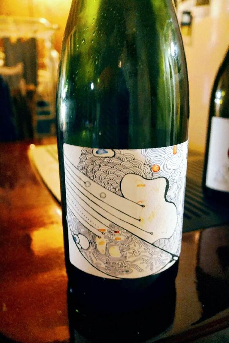 Nébuleuse Aligoté X Julien Altaber - Sextant - Vin des Potes - Basile Passe 